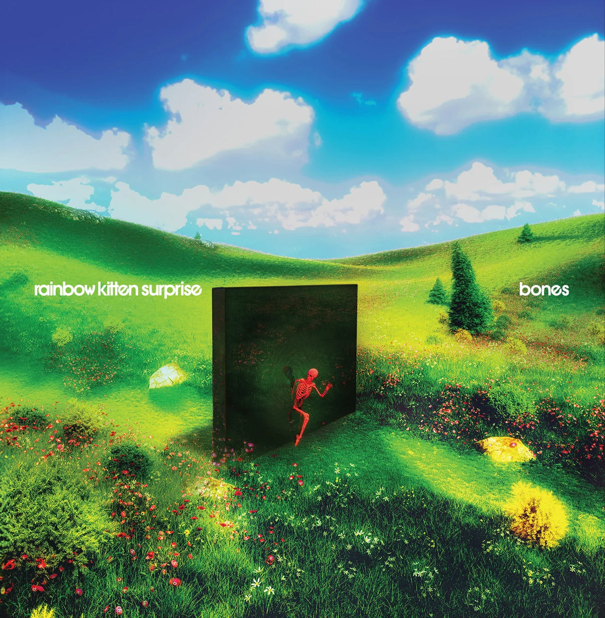 Rainbow Kitten Surprise - Bones LP