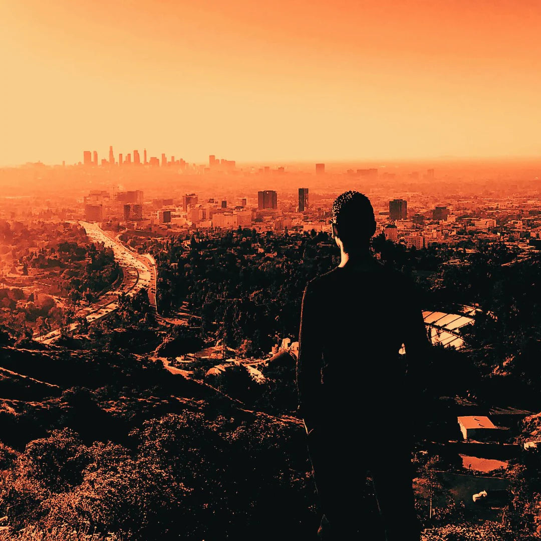 David Zylberman feat. DaM-FunK - Welcome To L.A. b/w City Of Angels 7-Inch