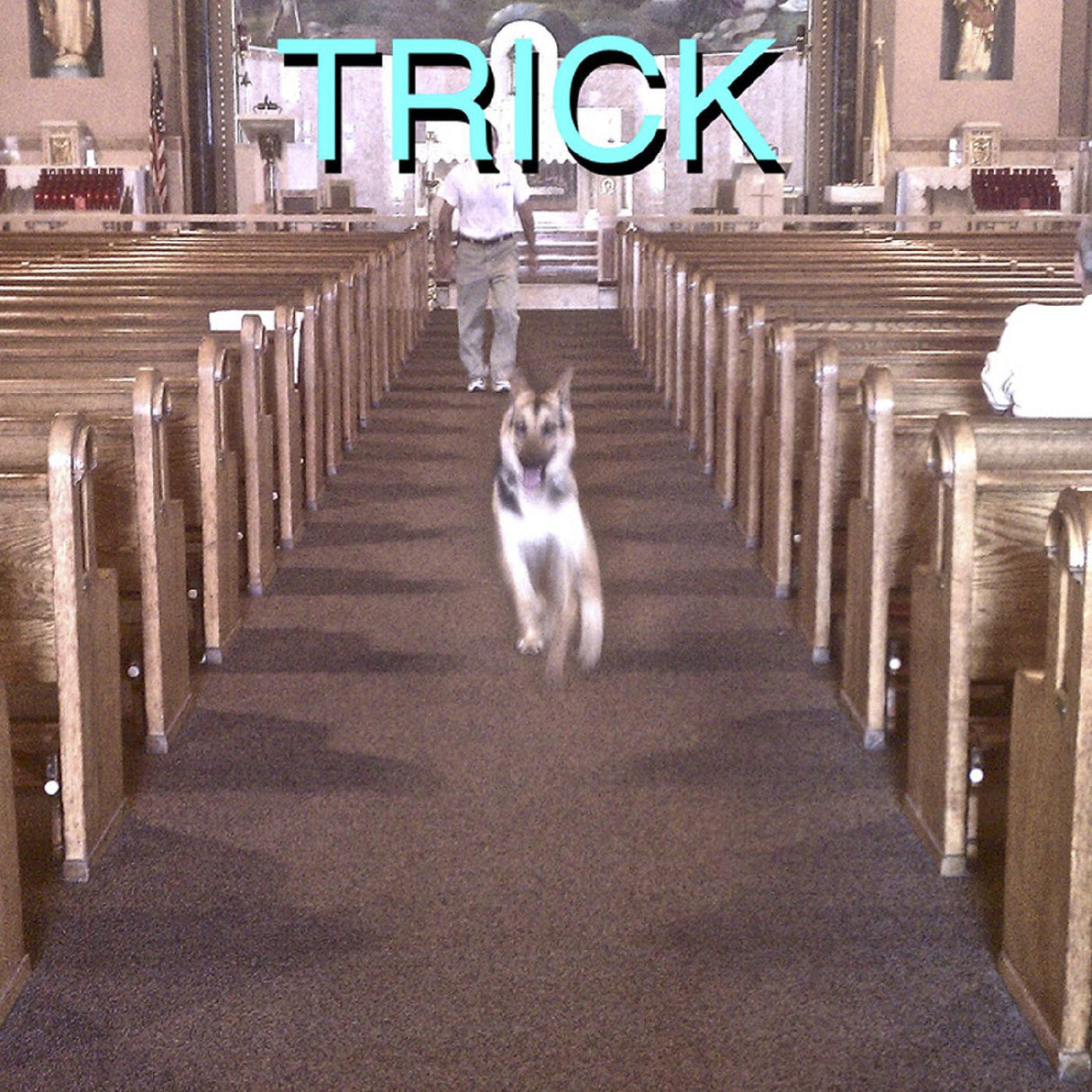 A dog running down the aisle of a church with the word 'TRICK' displayed above.