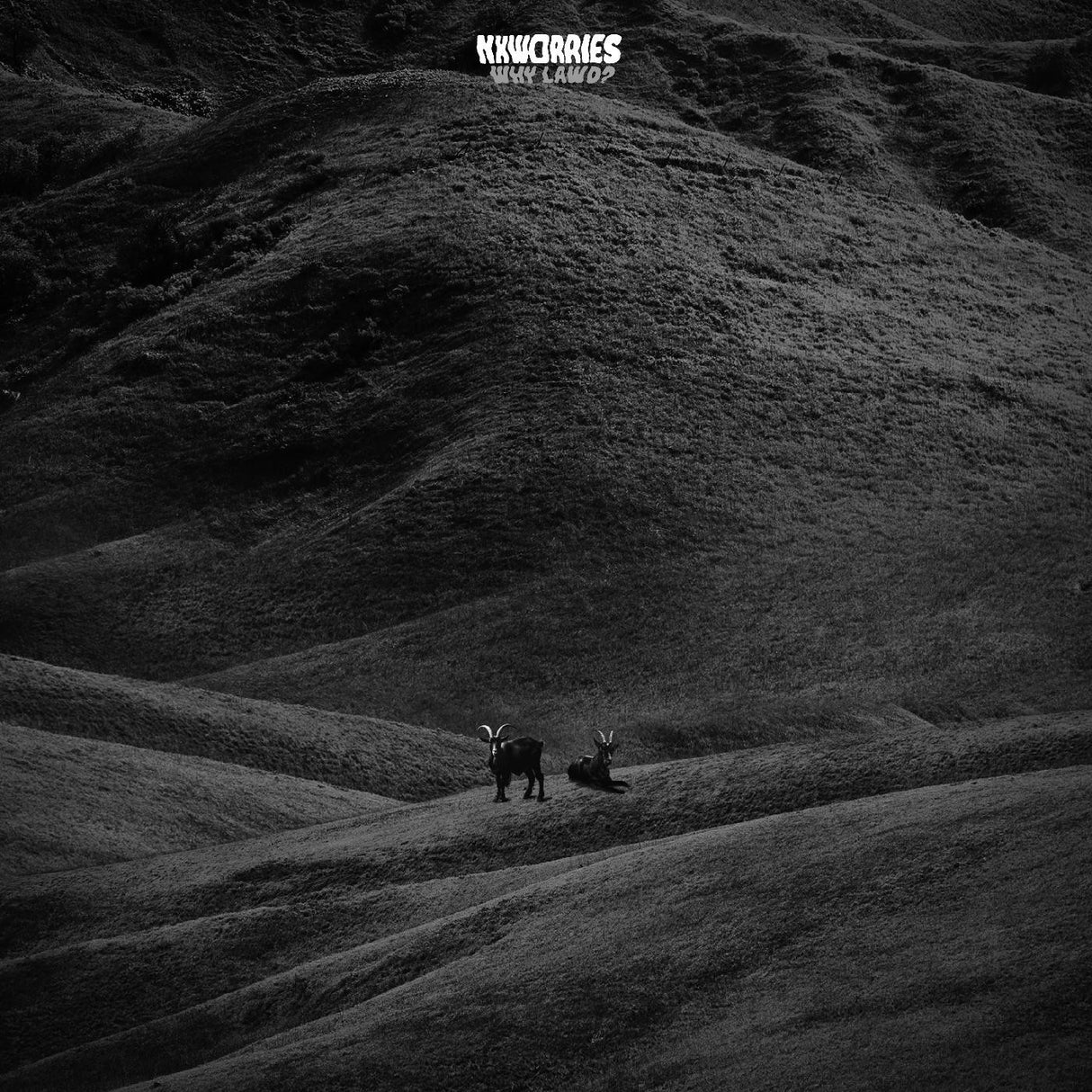 A black and white image of a vinyl record titled 'NxWorries - Why Lawd?' with a mountainous landscape in the background.