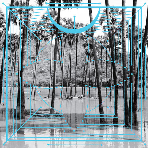 A black and white album cover featuring a tropical setting with palm trees and water, with a superimposed pink geometric pattern.