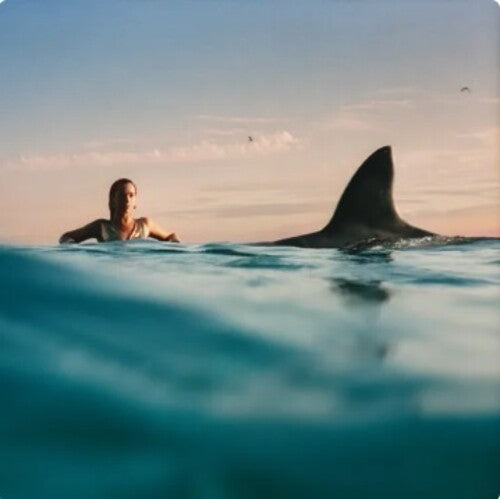 A person swimming in a pool with a shark fin visible in the water behind them, against a backdrop of a sunset.