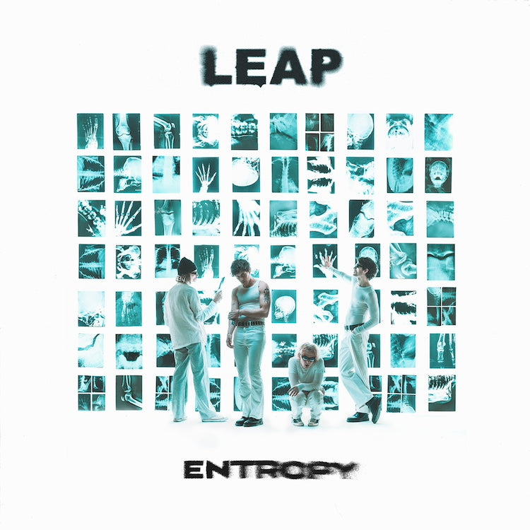 Album cover with 'LEAP' and 'Entropy' text, featuring a grid of small images and people in a room.