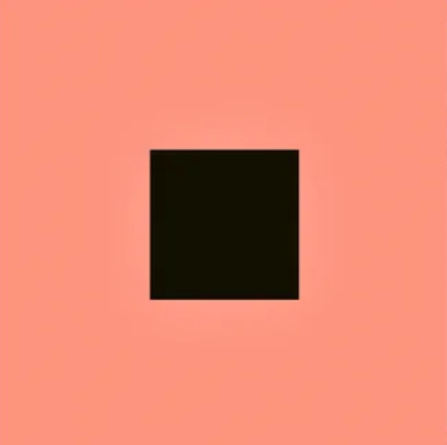 Black square centered on a salmon-colored background, representing the album cover for Bon Iver - SABLE, Fable LP.