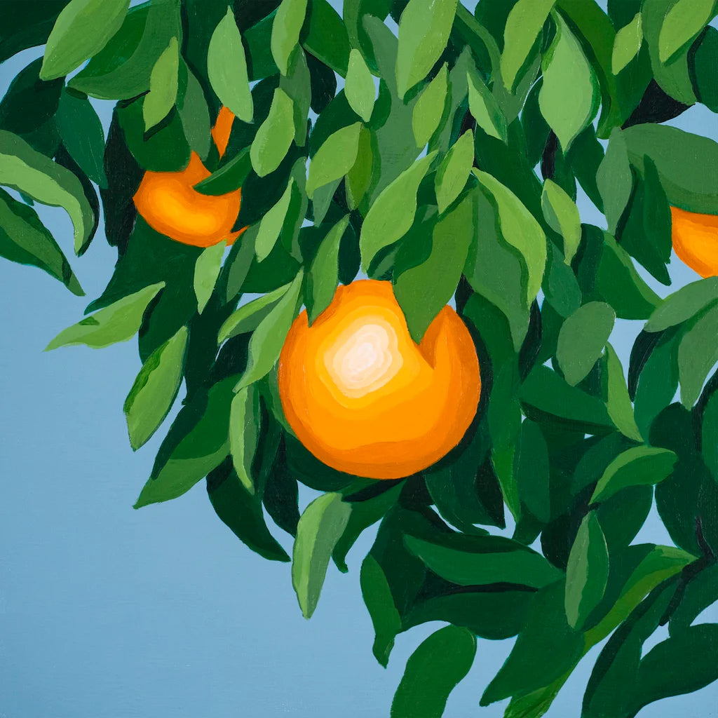 Illustration of oranges hanging from a tree with green leaves on a blue background