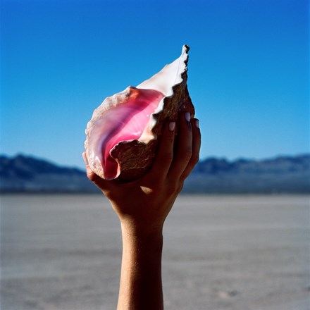 A hand holding a seashell against a blue sky background.
