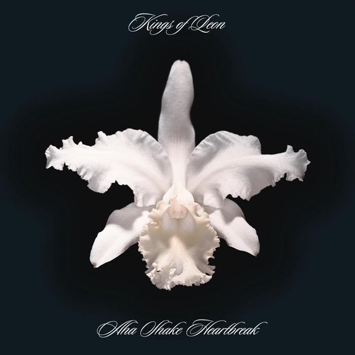 Album cover of Kings of Leon - Aha Shake Heartbreak featuring a white orchid flower in the center with the band's name and album title text at the top and bottom.