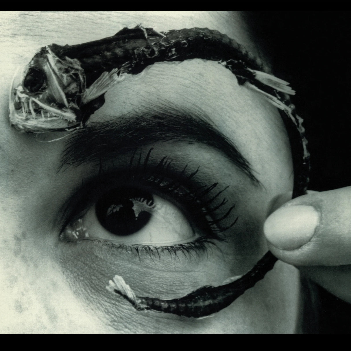 Black and white image of a fish on a person's eye with a finger holding it.