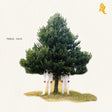 Album cover with two figures under a large tree on a plain background