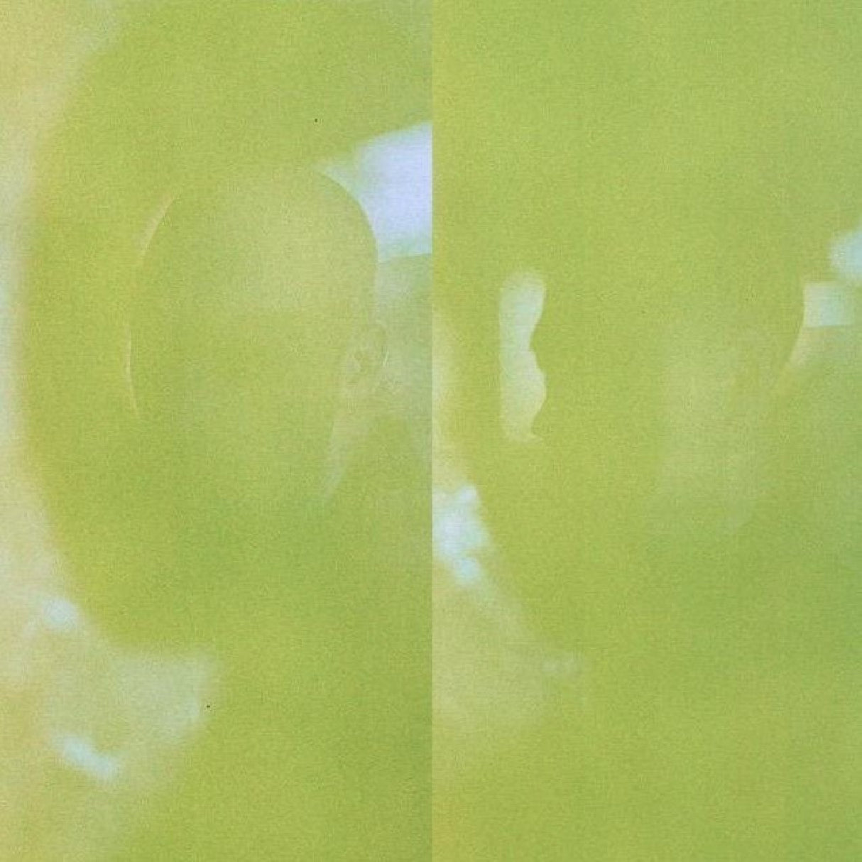 Close-up of a green apple with a blurred background