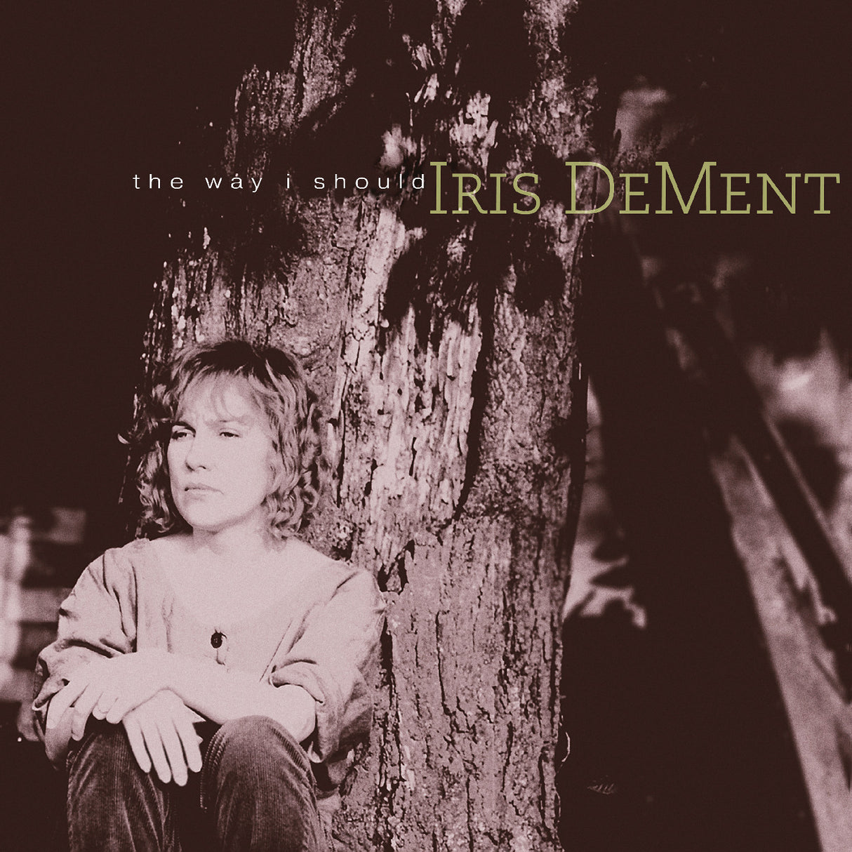 Album cover with a person sitting against a tree, featuring text 'the way i should' and 'Iris Dement'.
