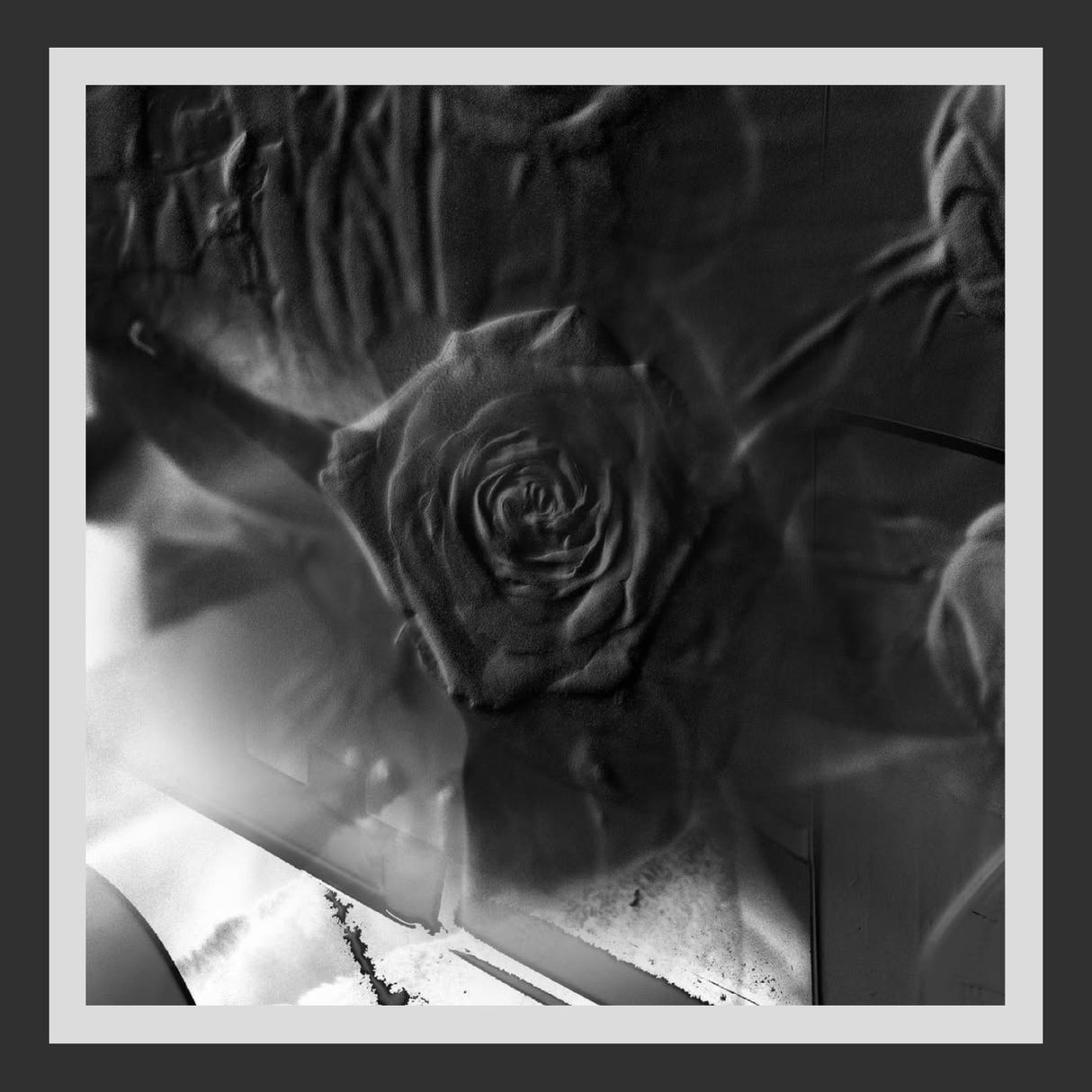 Close-up of a textured surface with a rose-like pattern
