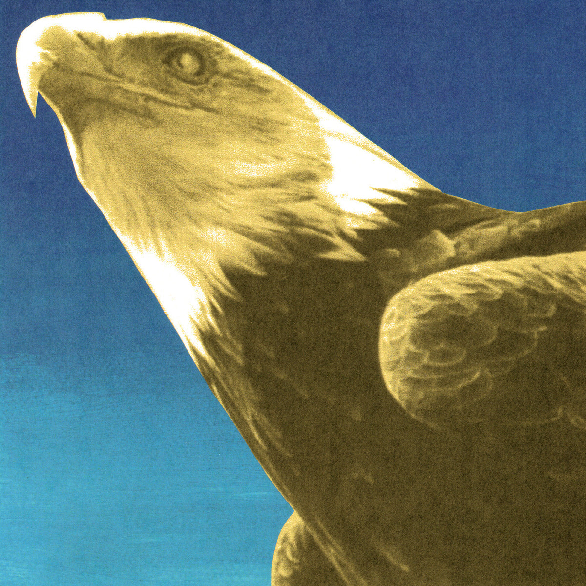 A close-up artistic depiction of a bald eagle in profile against a blue sky background, rendered in warm sepia and brown tones.