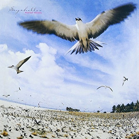 Seagulls flying over a sandy beach with a clear blue sky.