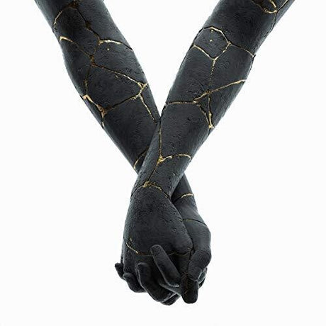 Black gloves with gold accents on a white background