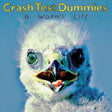 Close-up of a bird's face with 'Crash Test Dummies' and 'A Worm's Life' text on a blue background