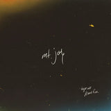 Album cover with 'mt. joy' and 'hope we have fun' text on a dark background