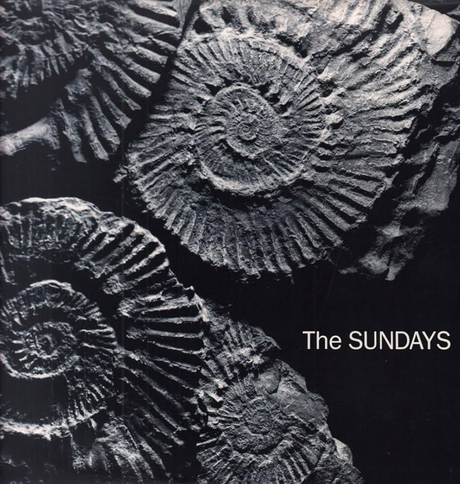 Fossilized ammonite shells on a dark background with 'The Sundays' text.