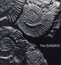 Fossilized ammonite shells on a dark background with 'The Sundays' text.