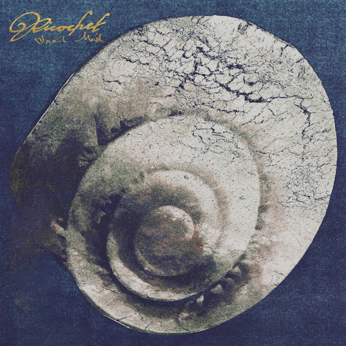 Album cover with a cracked shell design on a blue background, featuring the artist's name 'Ricefield' at the top.