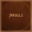 A square brown album cover or box with the word "JUNGLE" centered in a stylized beige serif font, surrounded by a thin beige border and showing a distressed, vintage texture.