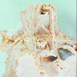 Close-up of a seashell with 'The Secret' text overlay on a light green background