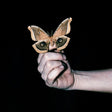 Butterfly held by a hand against a black background