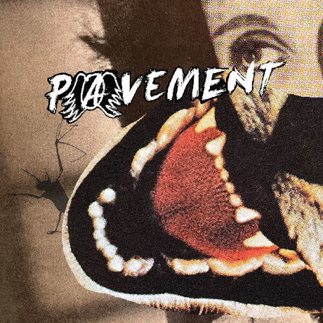 Album cover with a butterfly and text overlay on a textured background