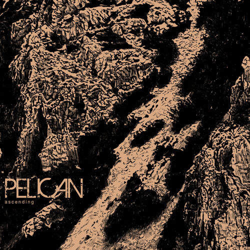 Album cover with textured design and 'Pelican' branding