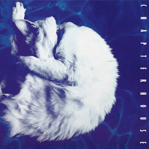 Album cover with a white cat on a blue background, featuring the text 'Chapterhouse'.