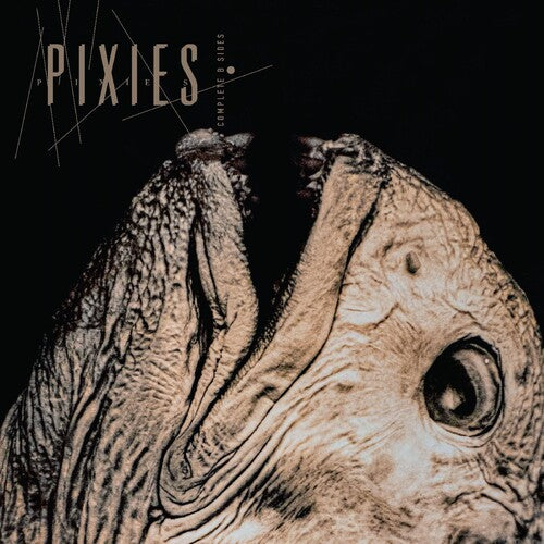 Album cover with a rhinoceros head and 'Pixies' text on a dark background