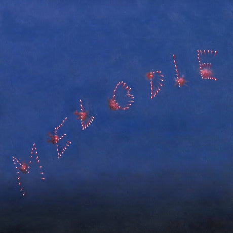 Fireworks spelling out 'WELCOME' in the night sky.
