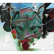 Album cover art for Stereophonics' 'Scream Above the Sounds', featuring a stylized, colorful wolf face layered with paint textures and abstract brushstrokes in blue, green, red, black, and white.