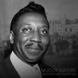 Black and white portrait of a famous musician with a blurred background, featuring the text 'Muddy Waters The Essential Collection'.