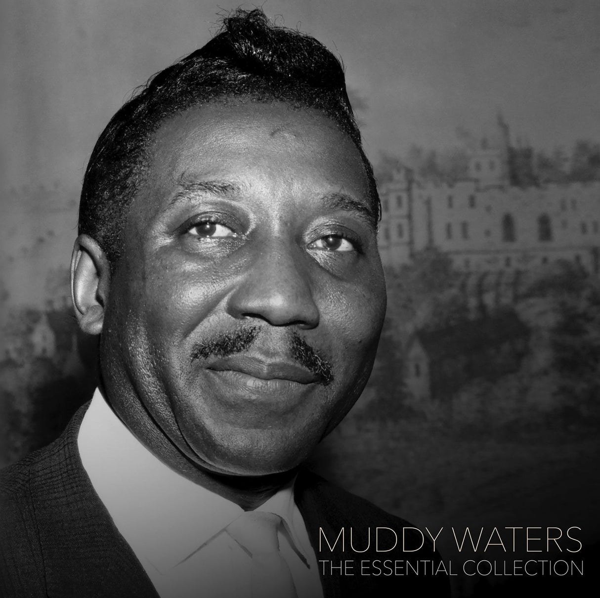 Black and white portrait of a famous musician with a blurred background, featuring the text 'Muddy Waters The Essential Collection'.