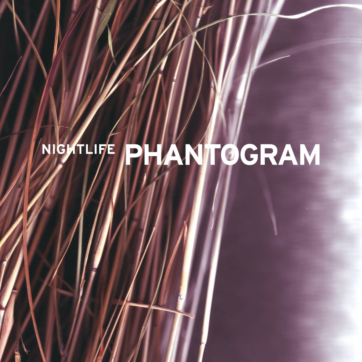 Album cover with 'NIGHTLIFE PHANTOGRAM' text against a textured background