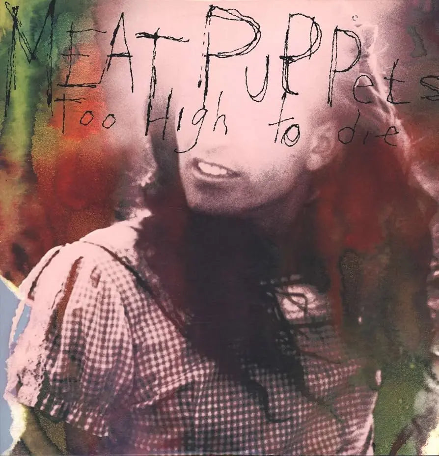 Album cover with a person in a checkered shirt and text 'Meat Puppets Too High to Die' on a colorful background