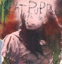 Album cover with a person in a checkered shirt and text 'Meat Puppets Too High to Die' on a colorful background