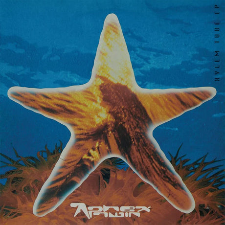 Album cover with a starfish on a blue underwater background, featuring the artist's name.