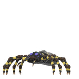 Toy spider with black, yellow, and purple colors on a white background