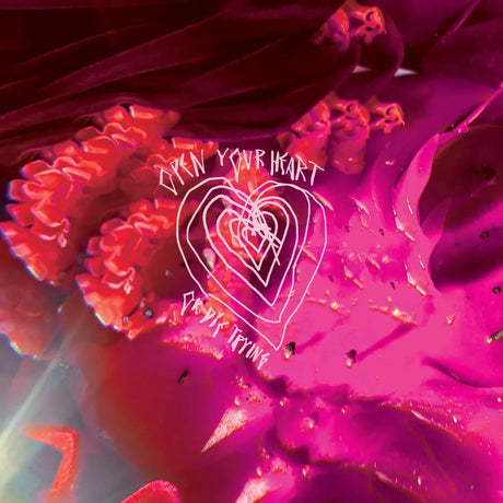 Close-up of a pink flower with 'Open Your Heart' text overlay
