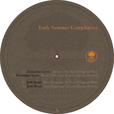 A circular vinyl record cover for 'Early Summer Compilation' by Demarius Lewis and Josh Stone, featuring a textured brown background with orange and white text.