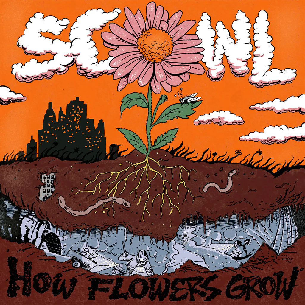 Illustration of a flower with roots underground and cityscape above, featuring the text 'How Flowers Grow'.