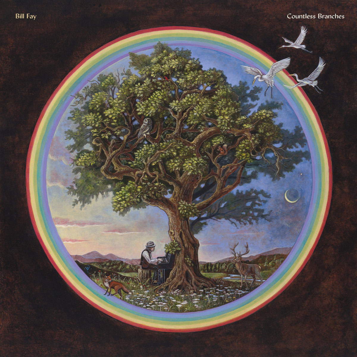 Bill Fay - Countless Branches 2LP (Deluxe Edition)