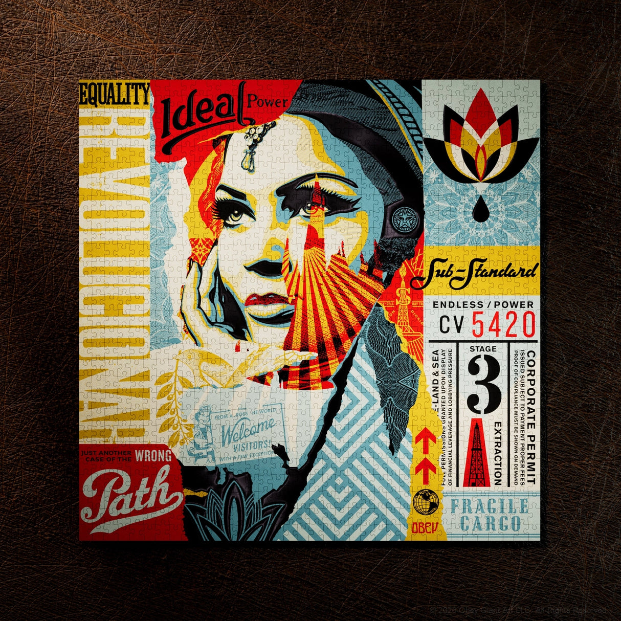 A square graphic print or poster featuring a stylized collage portrait of a woman's face with bold text and geometric patterns, placed on a dark brown textured surface. The artwork includes prominent text such as 'Equality', 'Idea Power', 'Wrong Path', 'CV 5420', and 'Fragile Cargo'.