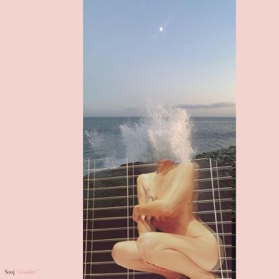 Person sitting on a fence with ocean waves crashing around, framed by a pink border.