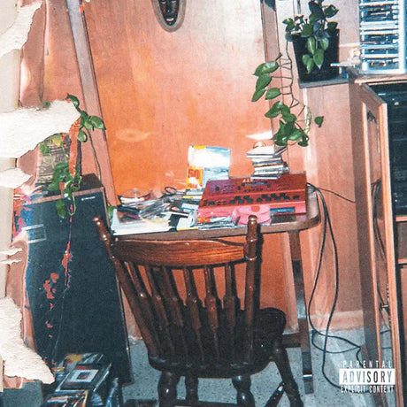 Wooden table with books and a chair in a room with a plant and a mirror.
