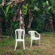 Two white plastic chairs in a lush green outdoor setting with banana plants.
