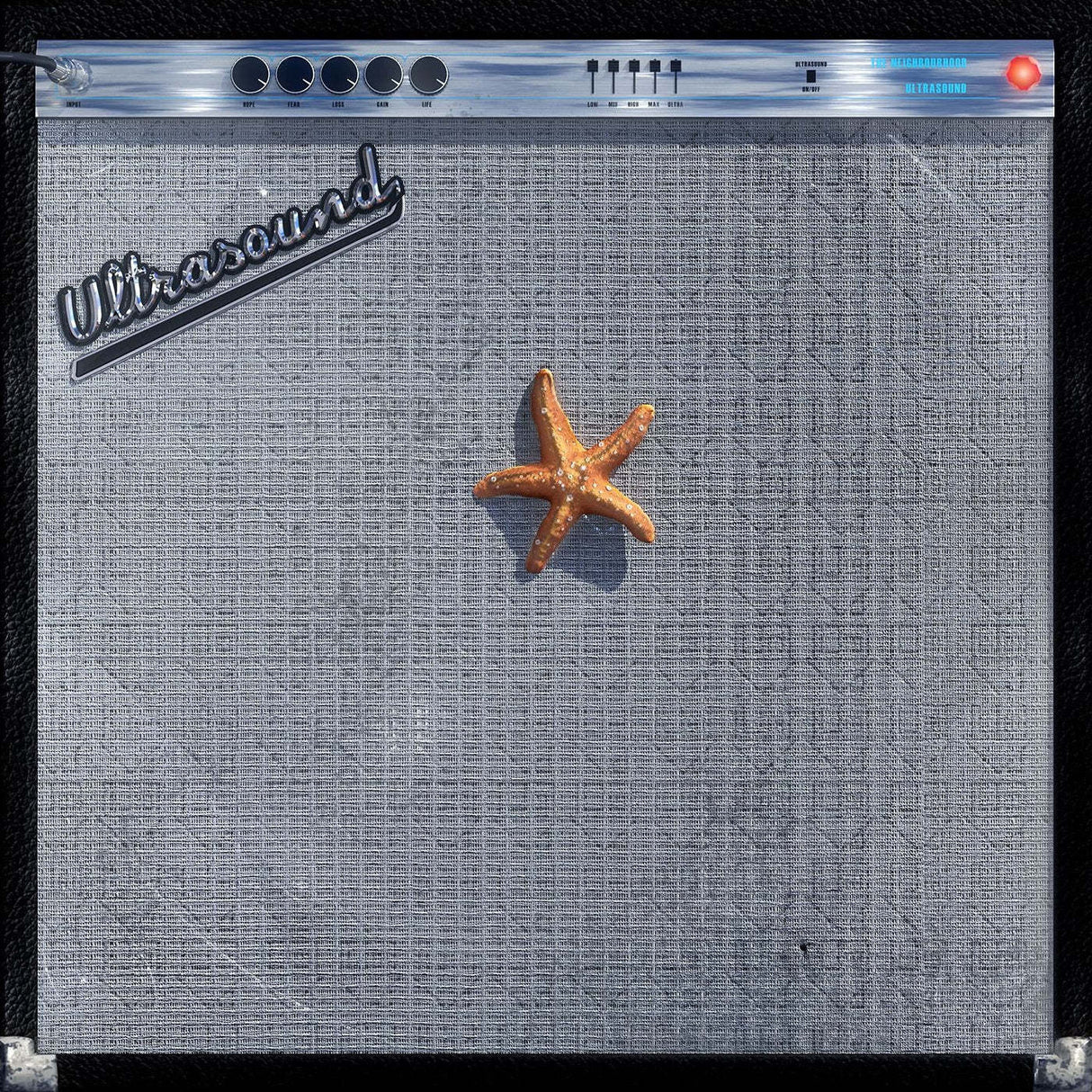 Starfish on a gray textured surface with 'Ultrasound' branding.