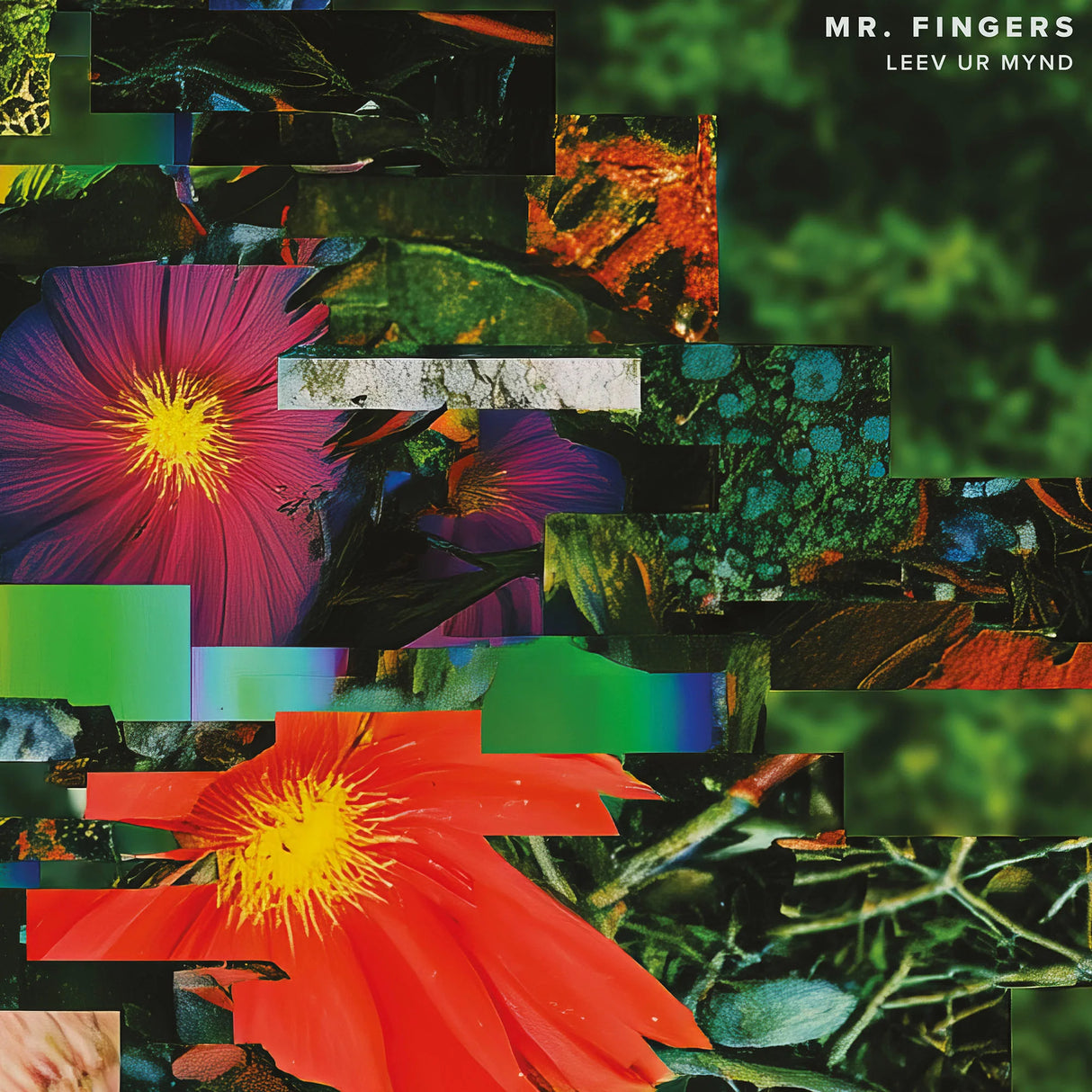 Collage of colorful flowers and nature elements with 'Mr. Fingers' and 'Leev Ur Mynd' text.
